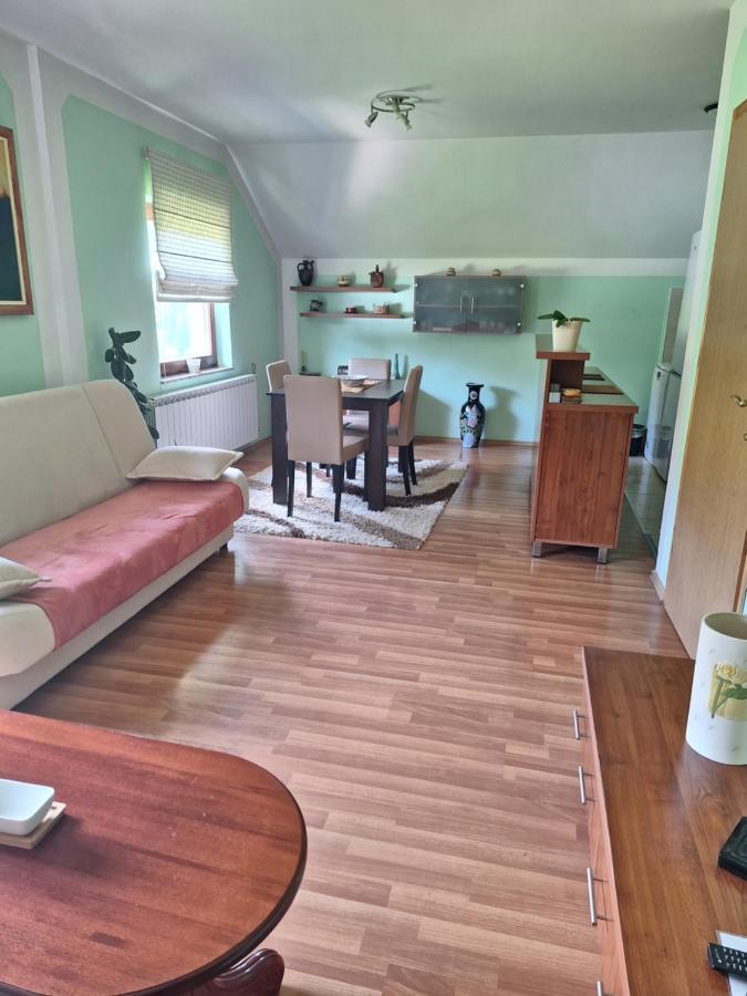 Apartman Sara Pale - Ski Centar Ravna Planina Екстериор снимка