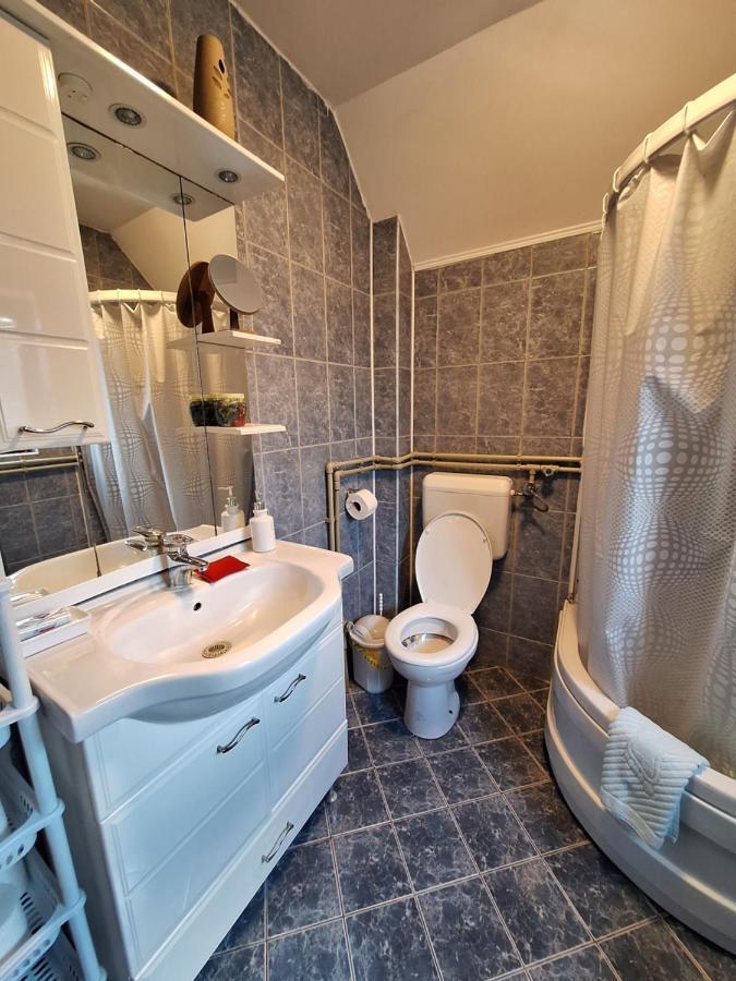 Apartman Sara Pale - Ski Centar Ravna Planina Екстериор снимка